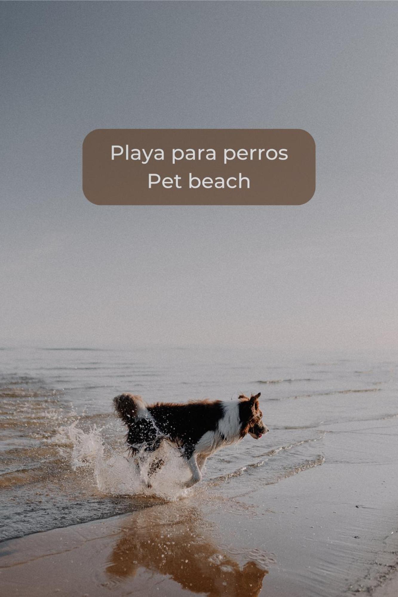 Апартаменты Chocolate Brownie Piscina, Terraza, Planta Baja, Parking Y Wifi Коральео Экстерьер фото